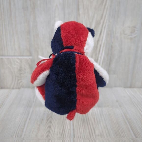 Ty Beanie Babies Patriot 2001 Retired Plush Stuffed Bear America Patriotic - Picture 4 of 7